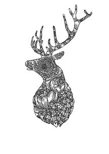 品牌插画与平面设计的交融 打造具有识别度的视觉语言